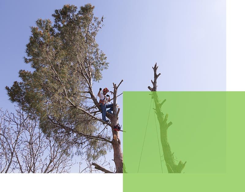 &eacute;lagage scherwiller