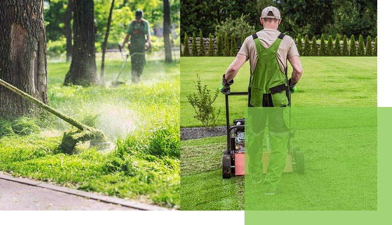 tonte pelouse scherwiller