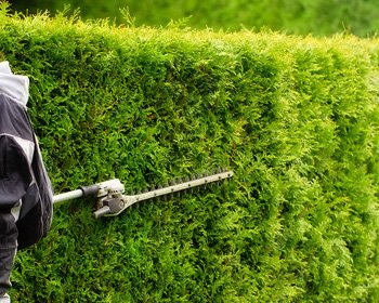 jardinier scherwiller